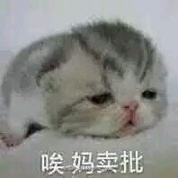爆笑傻屌群聊杂图斗图微信表情包