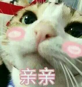 微信恶搞金馆长撕逼群聊斗图表情包