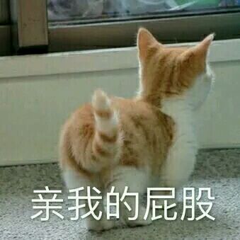 微信恶搞金馆长撕逼群聊斗图表情包