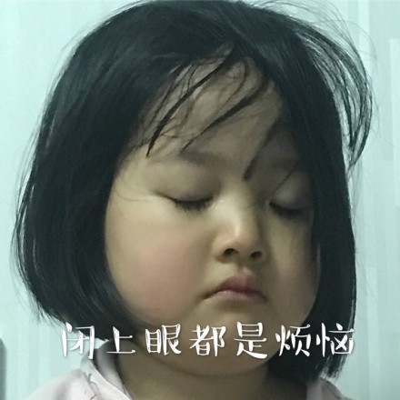 权律二微信恶搞GIF斗图表情包