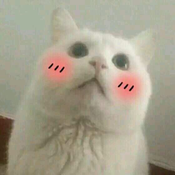 微信欢乐搞怪群聊斗图表情包