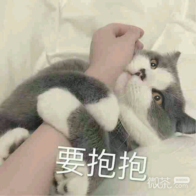 傻屌爆笑搞怪微信动态群聊杂图表情包