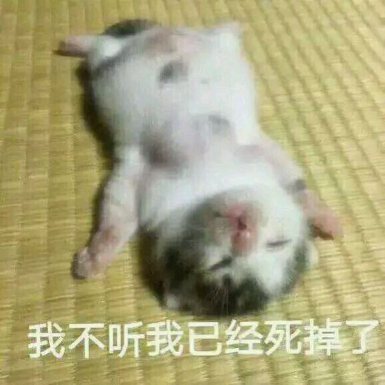 恶搞群聊杂图斗图微信表情包