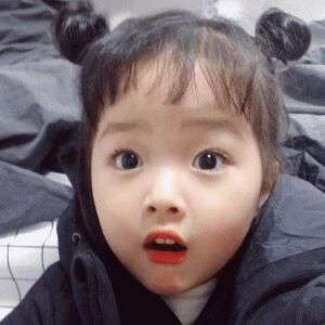 权律二微信恶搞GIF斗图表情包