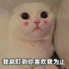 向生活低头微信恶搞斗图表情包