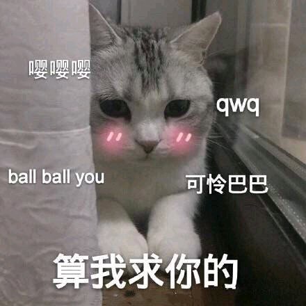 微信可爱爆笑喵星人表情包