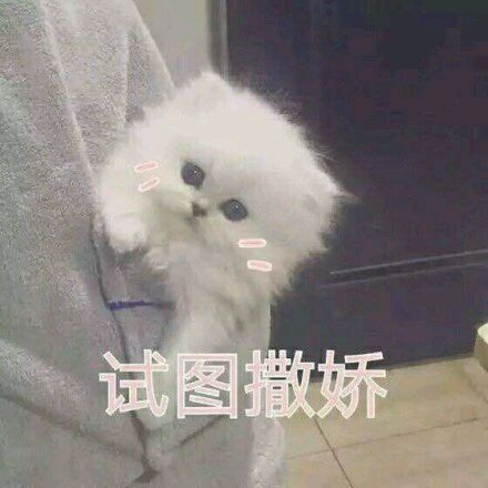 微信近期斗图恶搞表情包2019/3/7