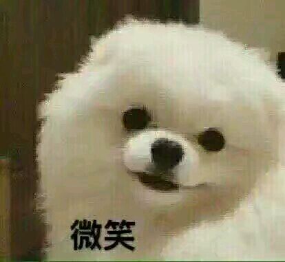 微信群聊聊天斗图表情包