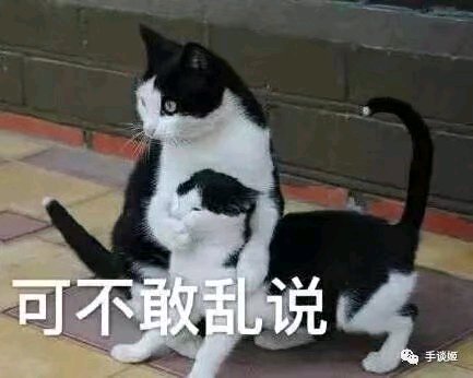 卑微到开花微信斗图表情包