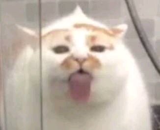 微信恶搞逗比傻屌群聊表情包