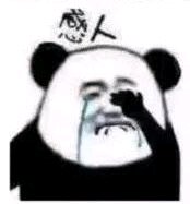 太刺激了微信恶搞斗图表情包