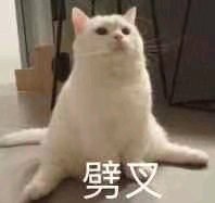 向生活低头微信恶搞斗图表情包