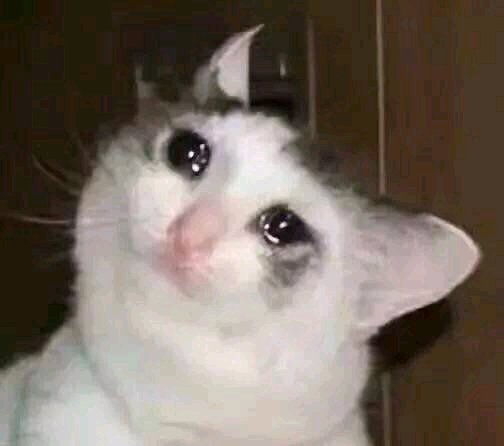 微信可爱爆笑喵星人表情包