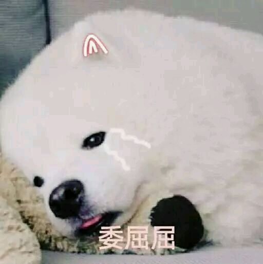 恶搞群聊杂图斗图微信表情包