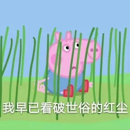 微信群聊聊天斗图表情包