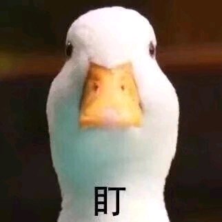 卑微到开花微信斗图表情包