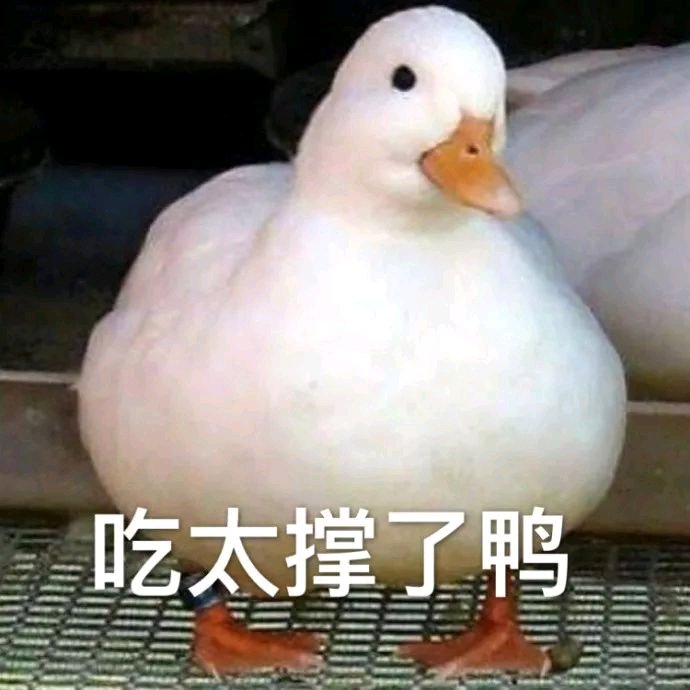 微信恶搞逗比傻屌群聊表情包