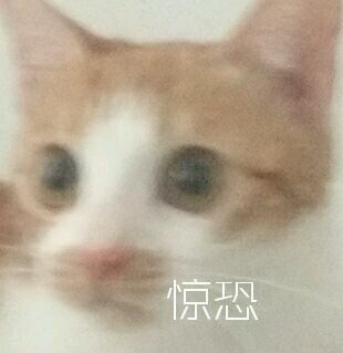 微信群聊聊天斗图表情包