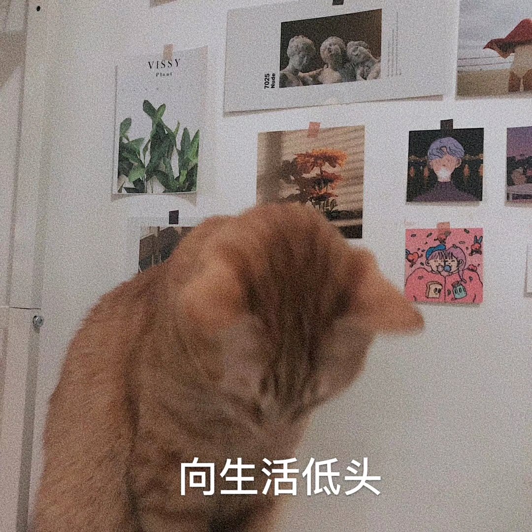 向生活低头微信恶搞斗图表情包