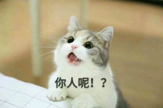 恶搞群聊杂图斗图微信表情包