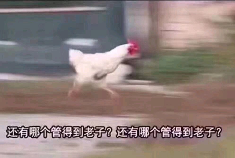 卑微到开花微信斗图表情包