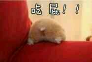 我要。。。微信恶搞群聊斗图表情包