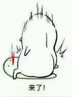 微信群聊聊天斗图表情包