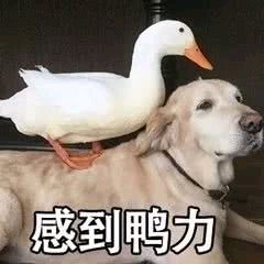 微信恶搞逗比傻屌群聊表情包