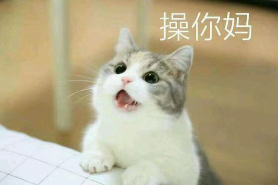 恶搞群聊杂图斗图微信表情包