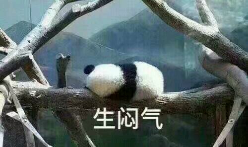 微信群聊聊天斗图表情包