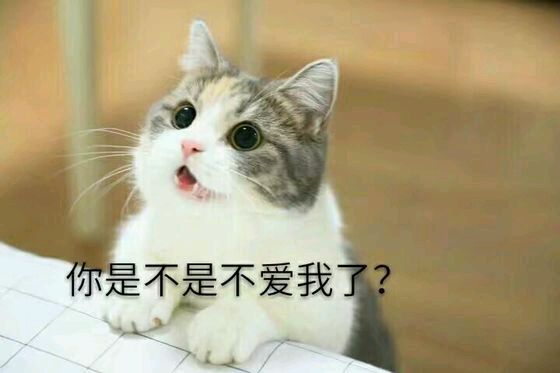 恶搞群聊杂图斗图微信表情包