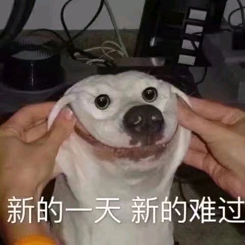 卑微到开花微信斗图表情包