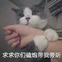 微信可爱爆笑喵星人表情包