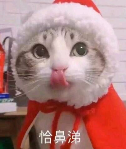 微信可爱爆笑喵星人表情包