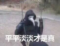 微信恶搞逗比傻屌群聊表情包