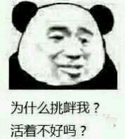 微信尬聊熊猫头斗图表情包