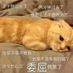 微信恶搞逗比傻屌群聊表情包