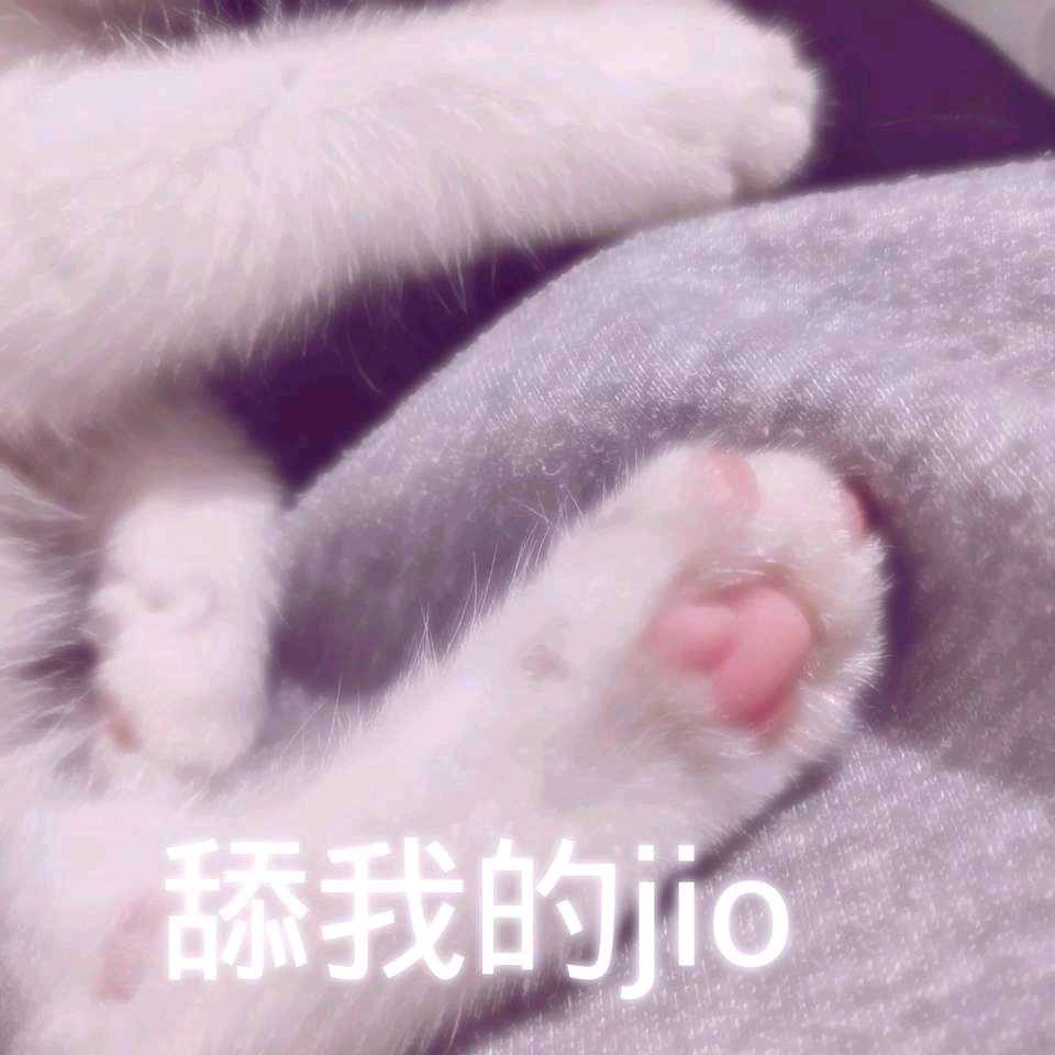 微信可爱爆笑喵星人表情包