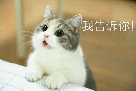 恶搞群聊杂图斗图微信表情包