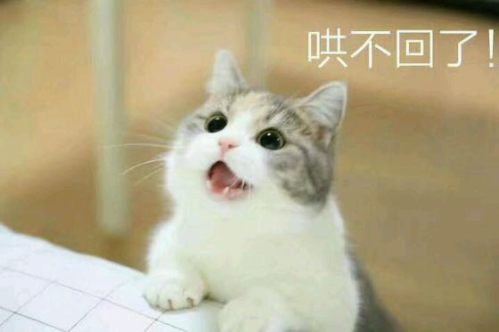 恶搞群聊杂图斗图微信表情包