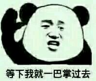 微信尬聊熊猫头斗图表情包