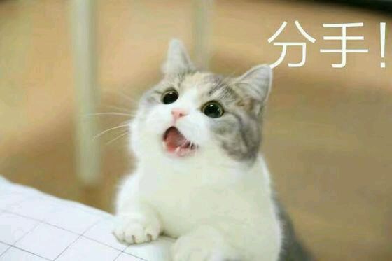 恶搞群聊杂图斗图微信表情包