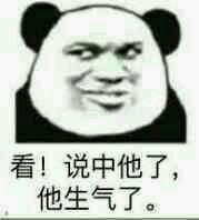 微信尬聊熊猫头斗图表情包