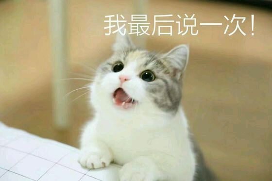 恶搞群聊杂图斗图微信表情包