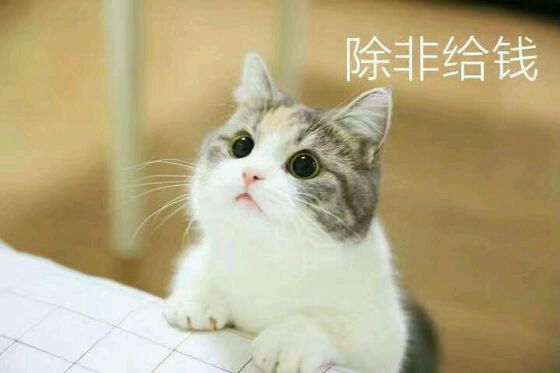 恶搞群聊杂图斗图微信表情包