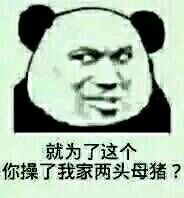 微信尬聊熊猫头斗图表情包