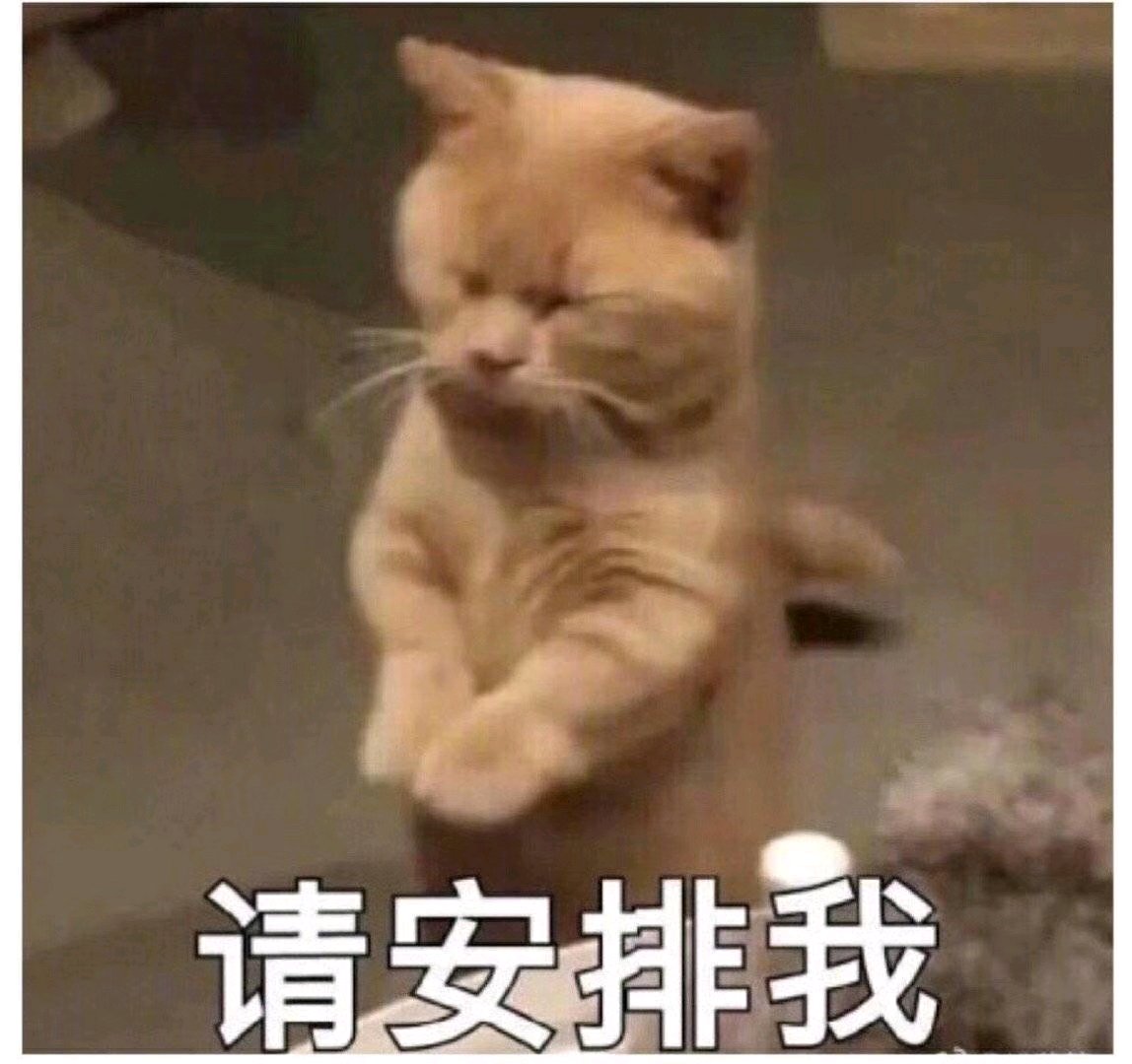 向生活低头微信恶搞斗图表情包