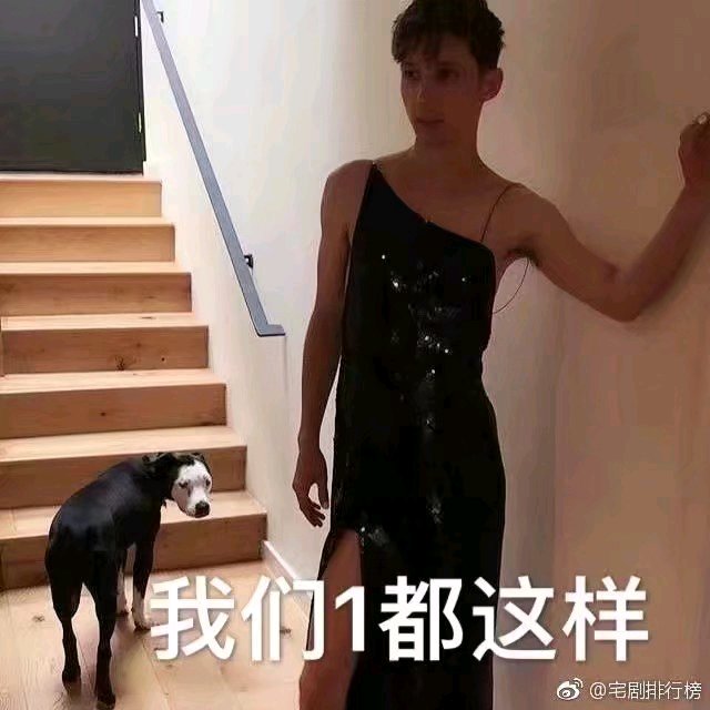 卑微到开花微信斗图表情包