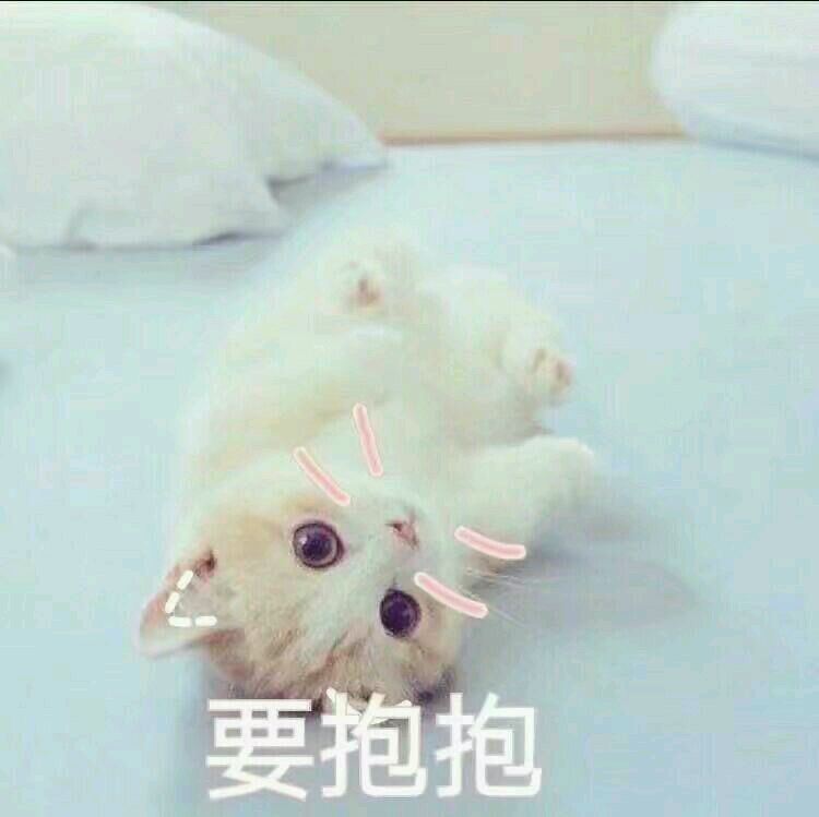 微信群聊聊天斗图表情包