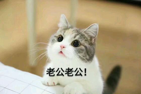 恶搞群聊杂图斗图微信表情包